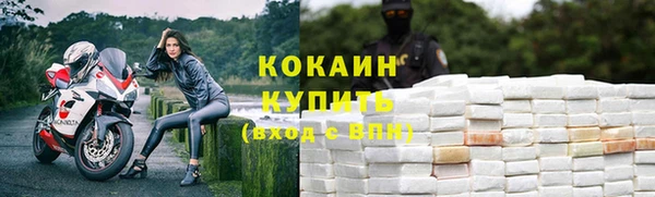 твердый Мегион