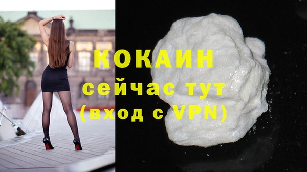 твердый Мегион