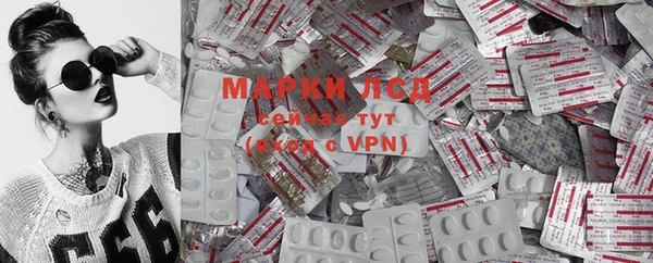 ГАЛЛЮЦИНОГЕННЫЕ ГРИБЫ Медвежьегорск