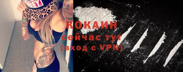 твердый Мегион