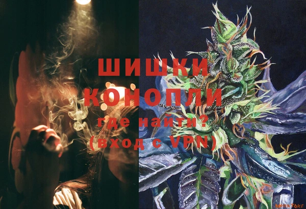 ГАЛЛЮЦИНОГЕННЫЕ ГРИБЫ Медвежьегорск