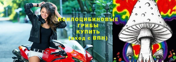 альфа пвп Медногорск