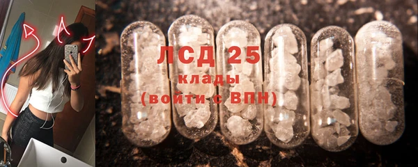 ГАЛЛЮЦИНОГЕННЫЕ ГРИБЫ Медвежьегорск