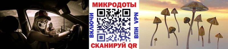 Купить где  Шахунья  Псилоцибиновые грибы Psilocybe 