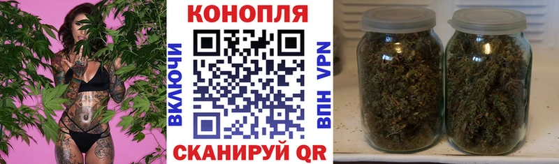 Купить закладки  Шахунья  Конопля гибрид 